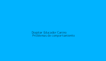 Dogstar Educador Canino | Problemas de comportamiento